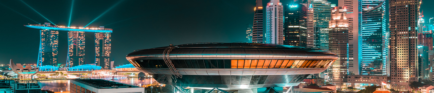 Securing Government Services