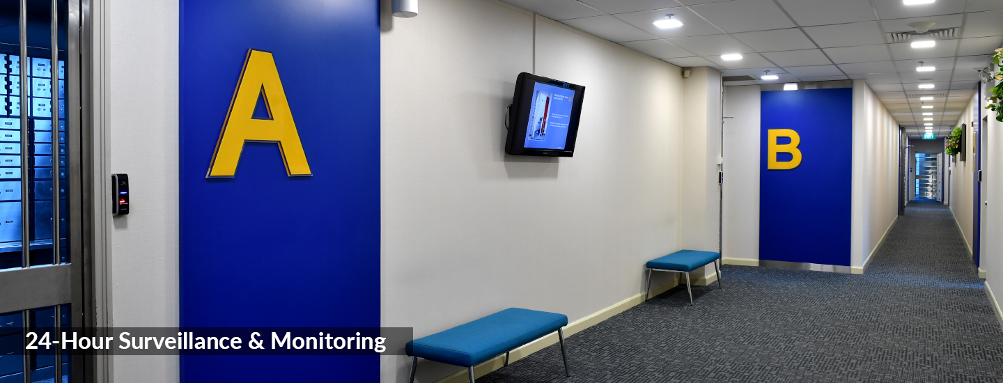 SDB_24Hr_Surveillance___Monitoring