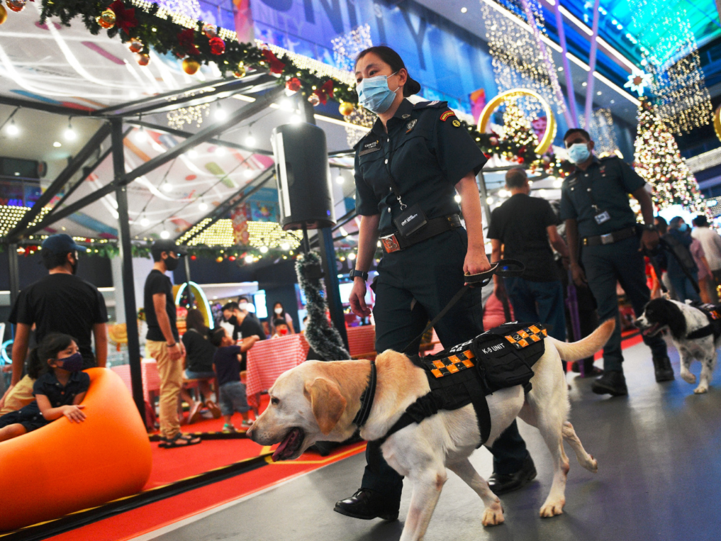 Security officer walking dog